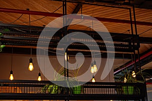 Ceiling light bulb with green plant on photon of wooden ceiling photo