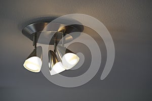 Ceiling Light Fixture with light bulbs on