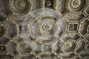 Ceiling in Palazzo Grassi