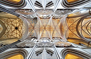 Ceiling of Salisbury Cathedral