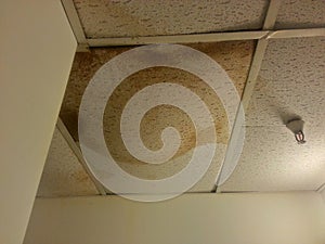 Ceiling Tile Needs Repair, Water Damage