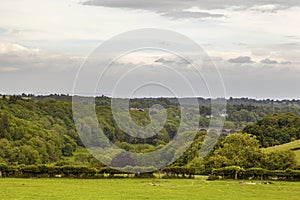 Ceiriog valley View