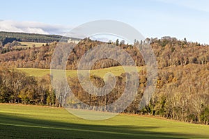 Ceiriog Valley View