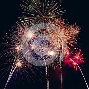 Celabration festive new year firework