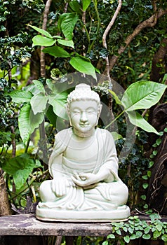 Celadon buddha