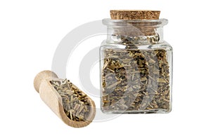 Celandine or in latin Chelidonii harba in a glass jar and wooden scoop isolated on white background. medicinal healing herbs.