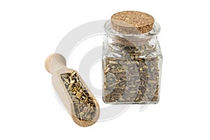 celandine or in latin Chelidonii harba in a glass jar and wooden scoop isolated on white background. medicinal healing herbs.