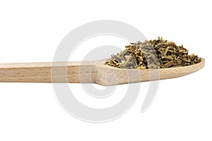 Celandine or in latin Chelidonii harba in wooden spoon isolated on white background. medicinal healing herbs. herbal medicine