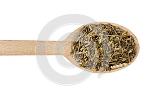 Celandine or in latin Chelidonii harba in wooden spoon isolated on white background. medicinal healing herbs. herbal medicine