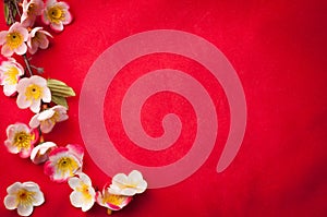 Celebrate Chinese New Year background with beautiful blossom fr