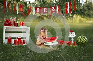 Celebrating a child`s first birthday in nature with a cake and watermelons