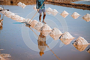 Celebrating local culture and Livelihood Cambodia