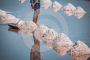 Celebrating local culture and Livelihood Cambodia