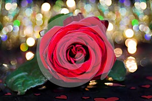Celebrating love - red rose over fairy lights