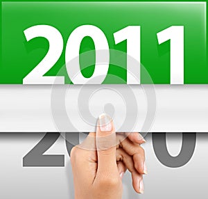 Celebrating new year 2011