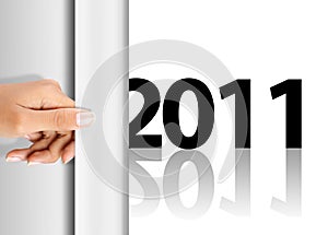 Celebrating new year 2011