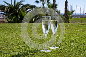 Celebration of championship with glasses of champagne bubbles wine on green lawn of golf club