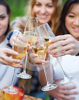 Celebration. People holding glasses of champagne making a toast