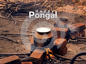 Celebration of Pongal Festival in South India
