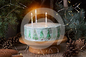 Celebratory cake decorated with painted Christmas trees on a dark background of branches and cones. Rustic style.