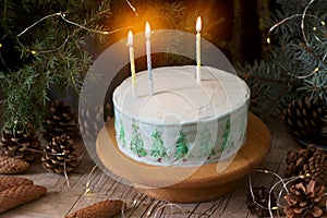 Celebratory cake decorated with painted Christmas trees on a dark background of branches and cones. Rustic style.