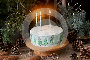 Celebratory cake decorated with painted Christmas trees on a dark background of branches and cones. Rustic style