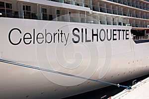 Celebrity Silhouette