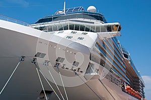 Celebrity Silhouette