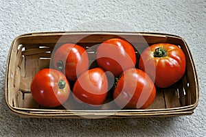 Celebrity Tomatoes in Basket   823183