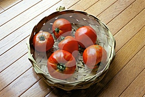 Celebrity Tomatoes in Basket   823185