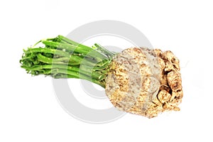 Celeriac isolated over white photo