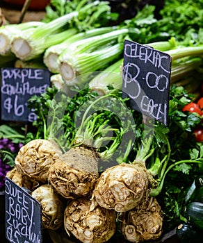 Celeriac for sale photo