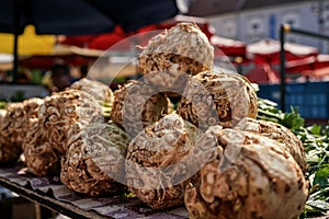 Celeriac or turnip-rooted celery roots displayed on street vegetables market