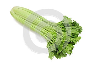 Celery