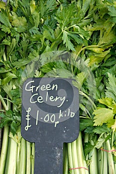 Celery