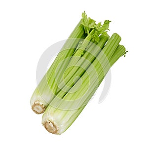 Celery.