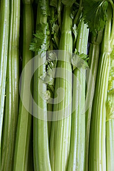 Celery