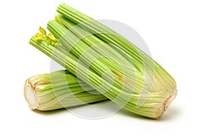 Celery