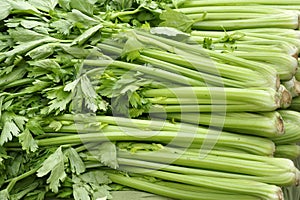 Celery