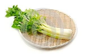 Celery photo