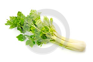 Celery photo