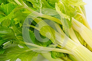 Celery photo