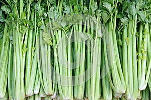 Celery