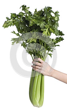 Celery