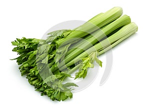 Celery