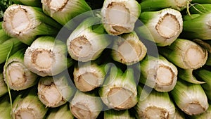 Celery