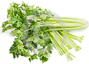 Celery ( Apium L. )
