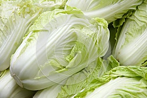 Celery cabbage