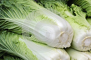 Celery cabbage