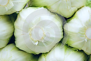 Celery cabbage